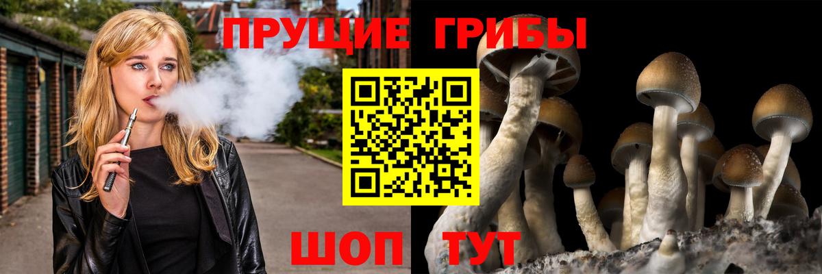 Галлюциногенные грибы Cubensis Домодедово